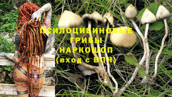 спайс Верея